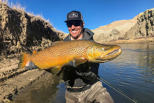 How to Catch a Monster Brown on the Fly
