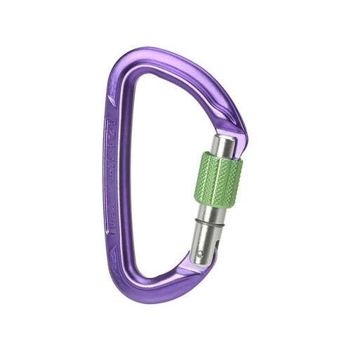 Wild Country Session Screw Gate Carabiner - Purple/Green