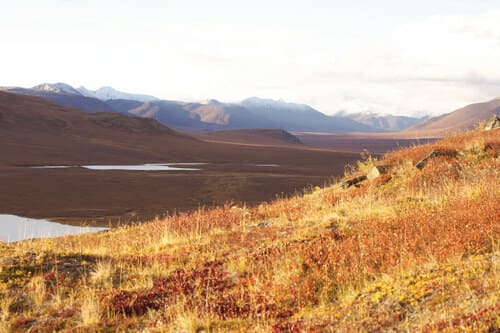 Insider's Guide to Gates of the Arctic National Park