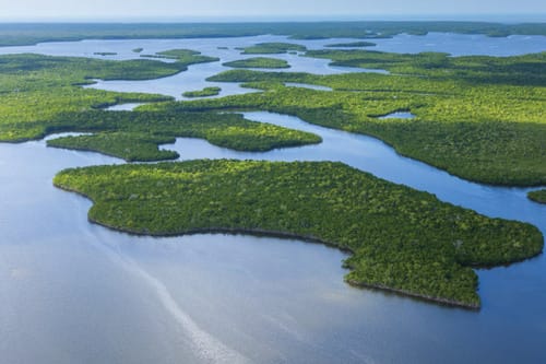 Insider's Guide to Everglades National Park