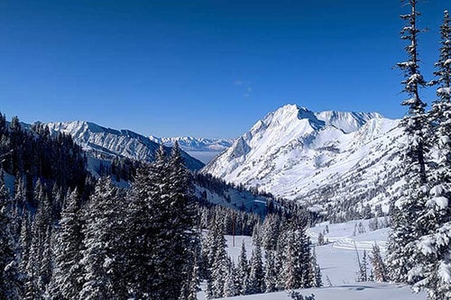 Beginner Backcountry Ski Tours in Utah's Wasatch Range